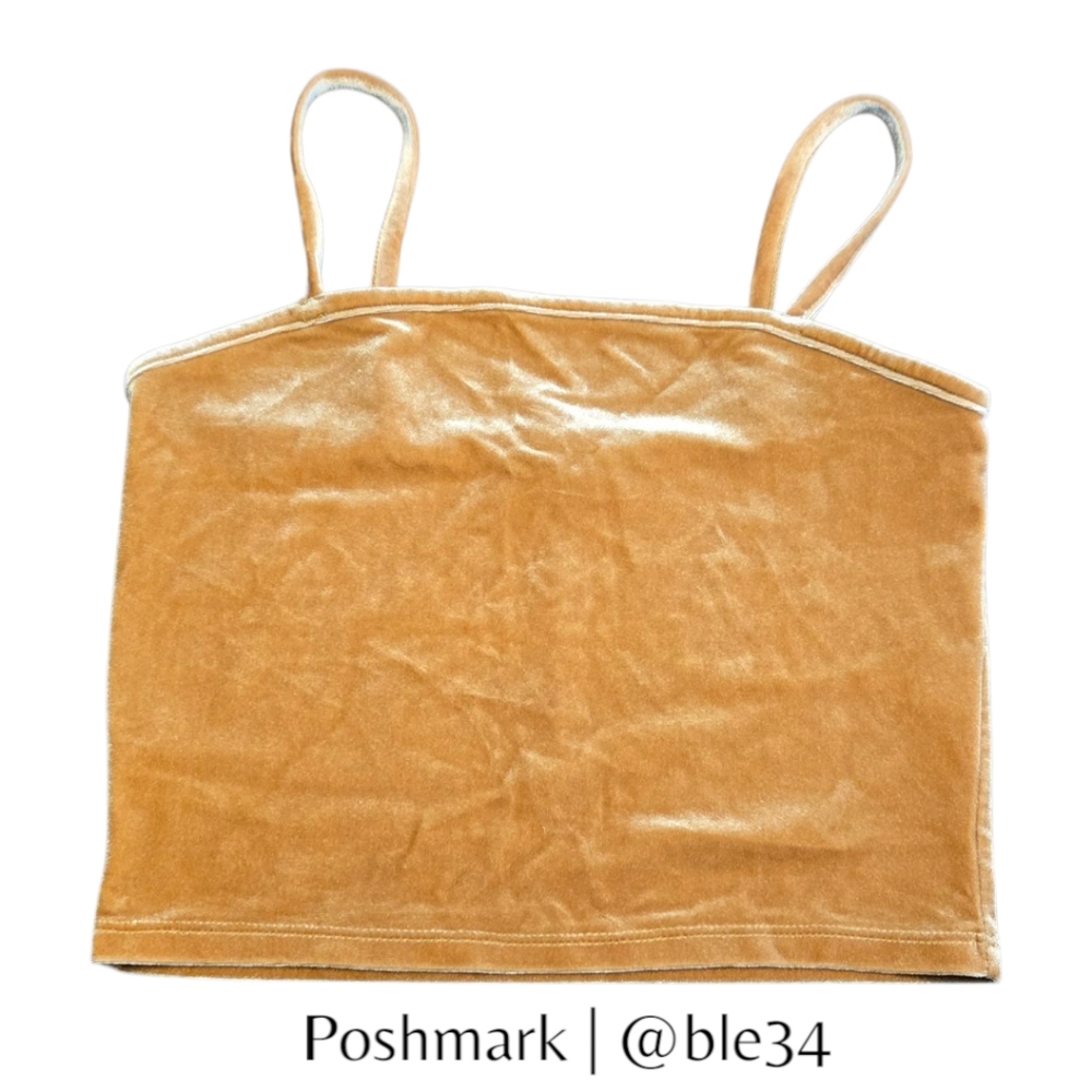 *SALE* Forever 21 Velvet Copper Crop Top